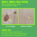 큐아이나인