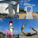 318만세 편의점 | 12월 영덕 여행 ② :: 고래불해수욕장 - 해맞이공원 - 영덕대게랑 - 해파랑공원 - 장사상륙작전 전승...