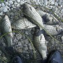 개미낚시터 이미지