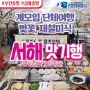 대해관광여행사(주) | [부산출발] 계모임 단체여행 추천! 벚꽃 가득한 서해 맛기행 1박 2일 기획 경희여행사 후기