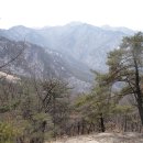 충북의 알프스 월악산(月岳山,와락산 靈峰1,097m)산행*2,011.2.13.일* 이미지