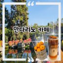 돌집농장 | 감귤따기와 말먹이주기까지! 아이랑 가기 좋은, 제주 조천읍 《만다리노 카페》