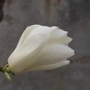 청암식당 이미지