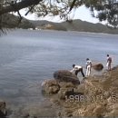 수국작가촌