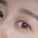주은브로우