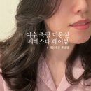 (주)파마뷰 이미지