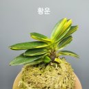 두엽농장 이미지