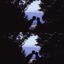 오동도 광장 | [여수여행 후기] 여수 여행DAY 1 💗/ 깔라까따호텔/ 오동도/ 이순신광장 정보 / 내돈내산 후기