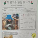 샘모루초등학교 이미지