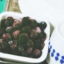 대룡목장 이미지