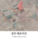 메모아르경주 이미지