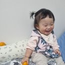 여술로44번길 이미지