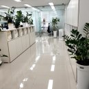 세무회계새봄
