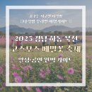 제7회 하동북천코스모스메밀꽃축제 | 2025 제19회 하동 북천 코스모스 메밀꽃 축제, 가을을 물들이는 음악과 꽃의 향연🌸