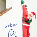 선재유일390 이미지