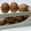 냉장고정리 쉬워지는 마켓플러스 자동 흘러내리는 계란트레이 사용후기