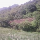 금밭농장 이미지