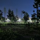 한탄강소나무캠핑 이미지