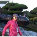 성산교회 앞 버스정류장 이미지