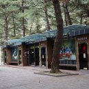 회동솔향캠핑장 관리동 화장실 | 241020 정선 회동솔향캠핑장