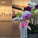 홍선생미술강서지사 이미지