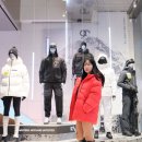 DUCK DUCK GOOSE | 데상트 패딩 추천 캐논 다운 컬렉션 롱·숏·경량 패딩 비교 후기