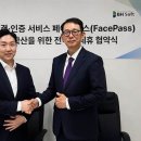 소프트
