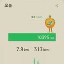 용이네축산 - 남양주시 가운로2길 28 | 용이네축산