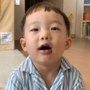 태하 카카오 검색결과