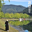 양곡1로 | 충북 괴산 여행 문광저수지 은행나무길 양곡은행나무 가을축제 후기