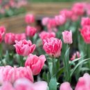 보물농장 이미지