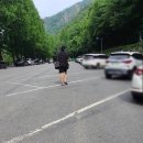 도시락댁 서구점 | 대전 계곡 추천 장태산 자연휴양림｜출렁다리 계곡 물놀이 아이와 가볼만한곳