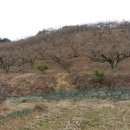 척과농장 이미지