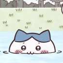 앳 부산 코브 이미지