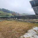 초록 태양광발전소 이미지