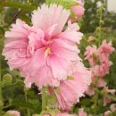 청안농장 이미지