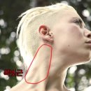 어반휘트니스 네이버블로그