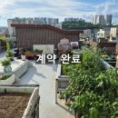 중앙동222 이미지