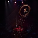 정도인터내셔널㈜ 이미지