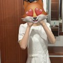 플레르린