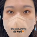 늘래쉬