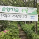 상광교 | 경기 수원 광교산 등산코스 | 경기대 → 시루봉 → 상광교 종주 ⛰️🌿🔥블랙야크100+,한남정맥 인증!!!