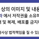 서울안심내과의원 네이버블로그