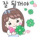 팔팔정육점