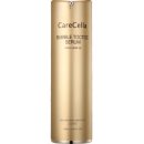 케어셀라 이미지