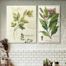 보테니컬 이미지