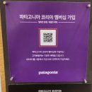 파타고니아 토렌트쉘 자켓 구매 후기(색상, 사이즈 고르는 팁, 수선 팁, 저렴하게 구입하는 방법)
