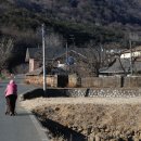 목소리 농로 이미지