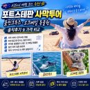 푸른풀밭 | 시드니 여행 코스 추천 | 포트스테판 사막투어 돌핀크루즈·오크베일 동물원 솔직후기 및 가격 비교
