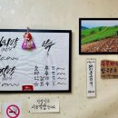 불개미식당 - 강릉시 | 불개미식당